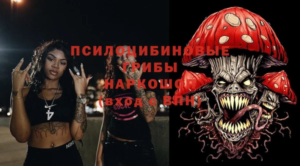 гидропоника Алзамай